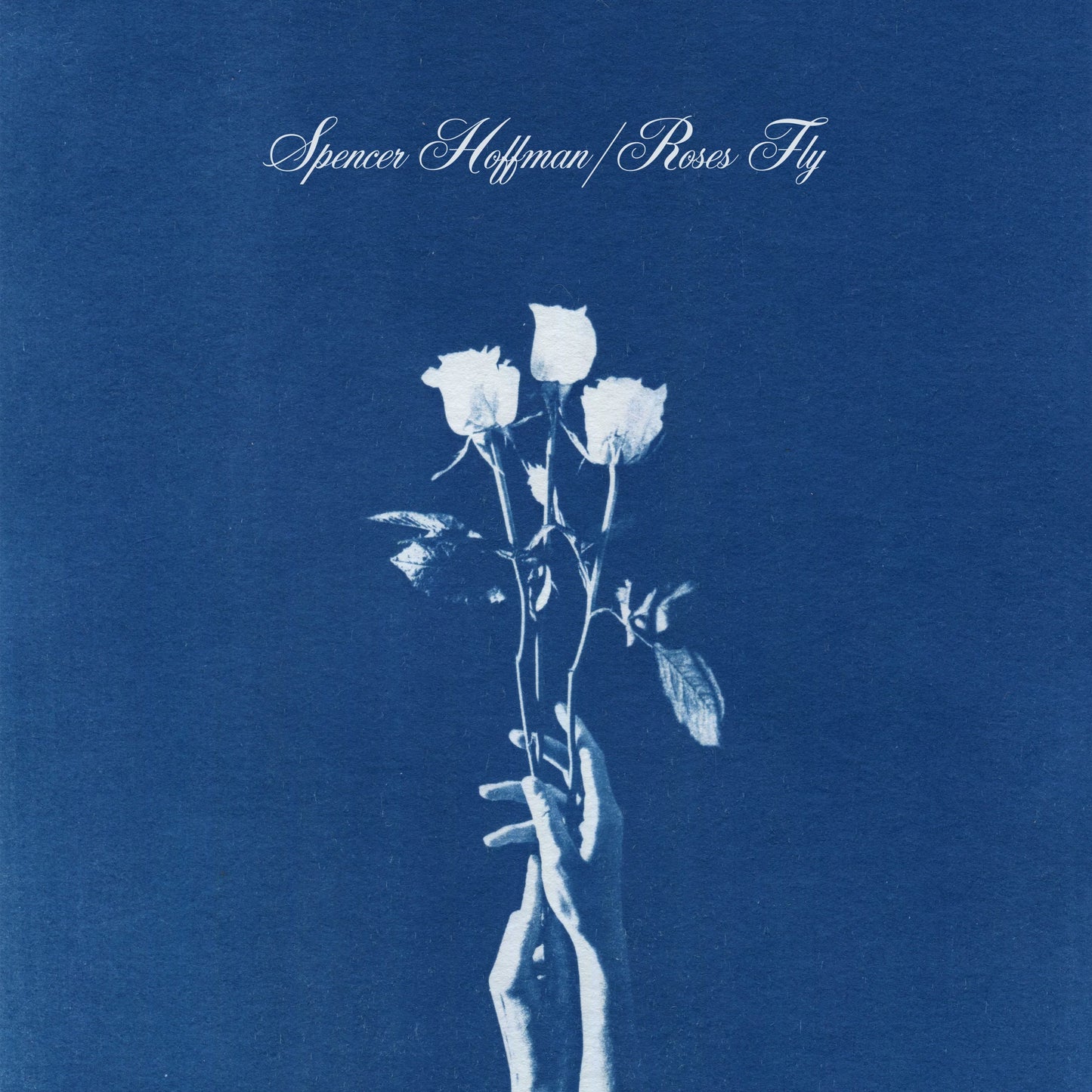 Spencer Hoffman "Rose Fly" Digital Download