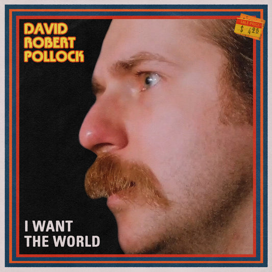 David Robert Pollock "I Want tThe World" Digital