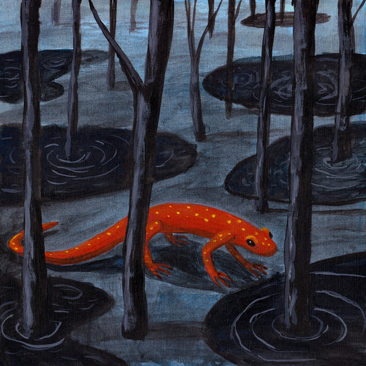 Light Widening "Apocalypse of the Small Self" Digital Download (PRE-ORDER)